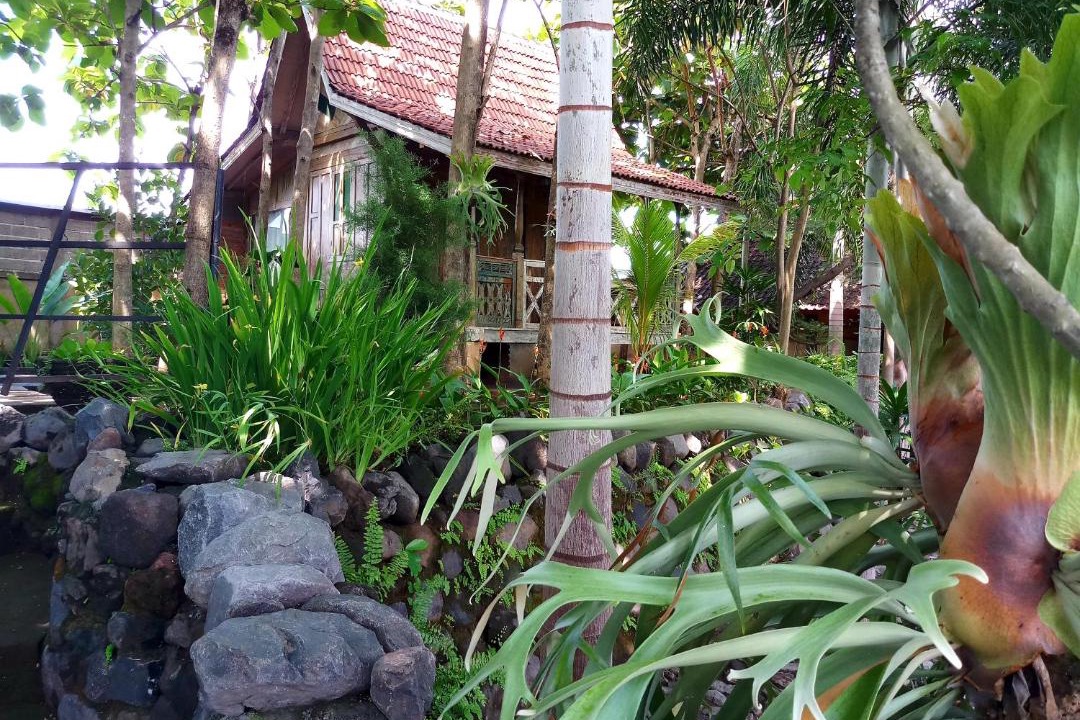 Photo of Others in Buleleng