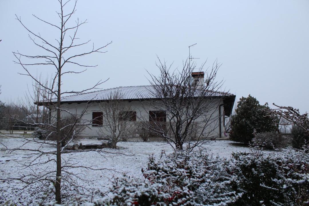 Photo of Others in Moruzzo