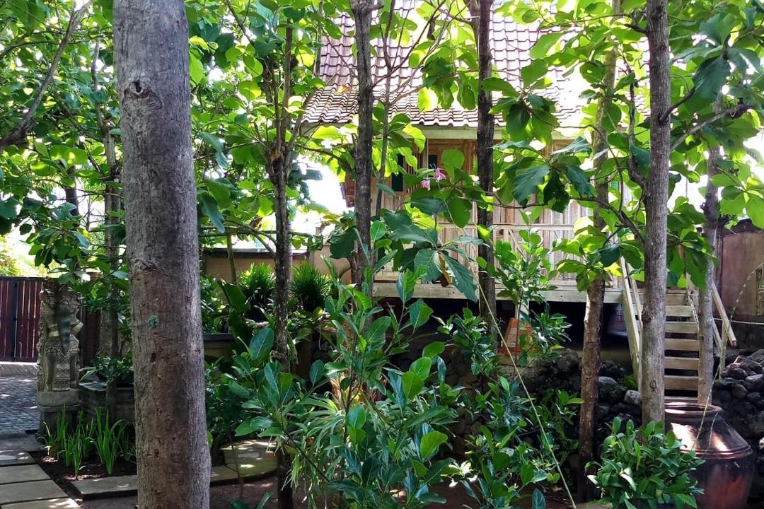Photo of Others in Buleleng