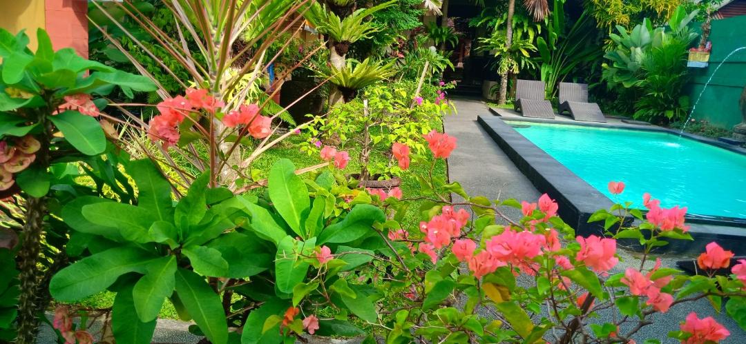 Photo of Outdoor in Ubud City-Centre