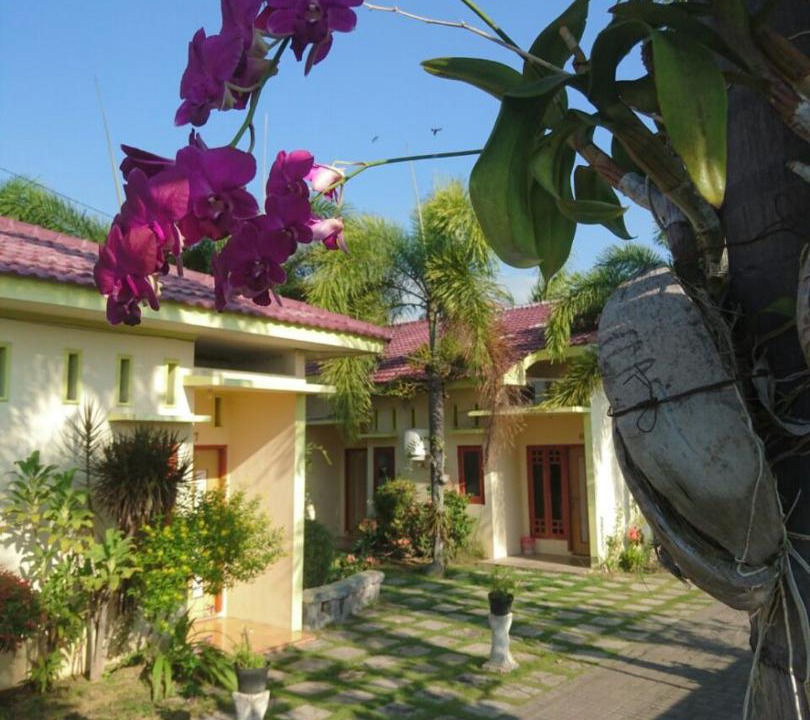 Photo of Others in Paiton