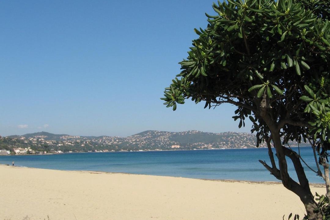 Photo of Outdoor in Sainte-Maxime City Centre