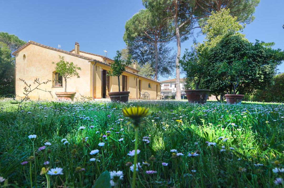Photo of Others in San Giuliano Terme