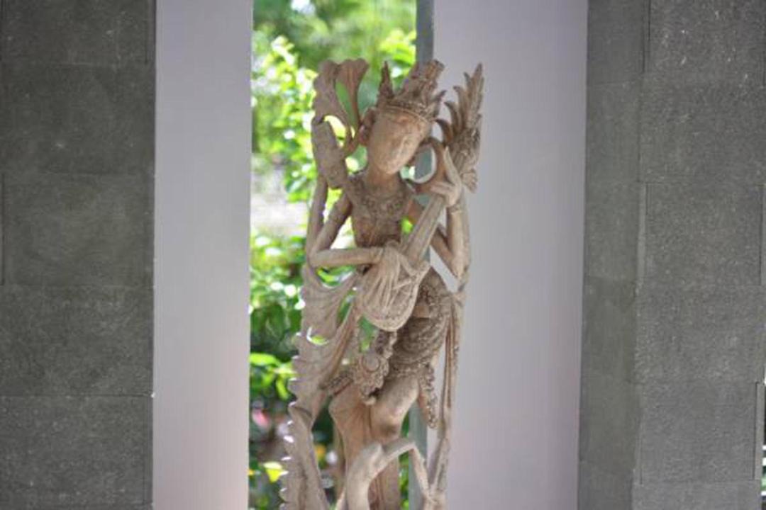 Photo of Others in Ubud City-Centre
