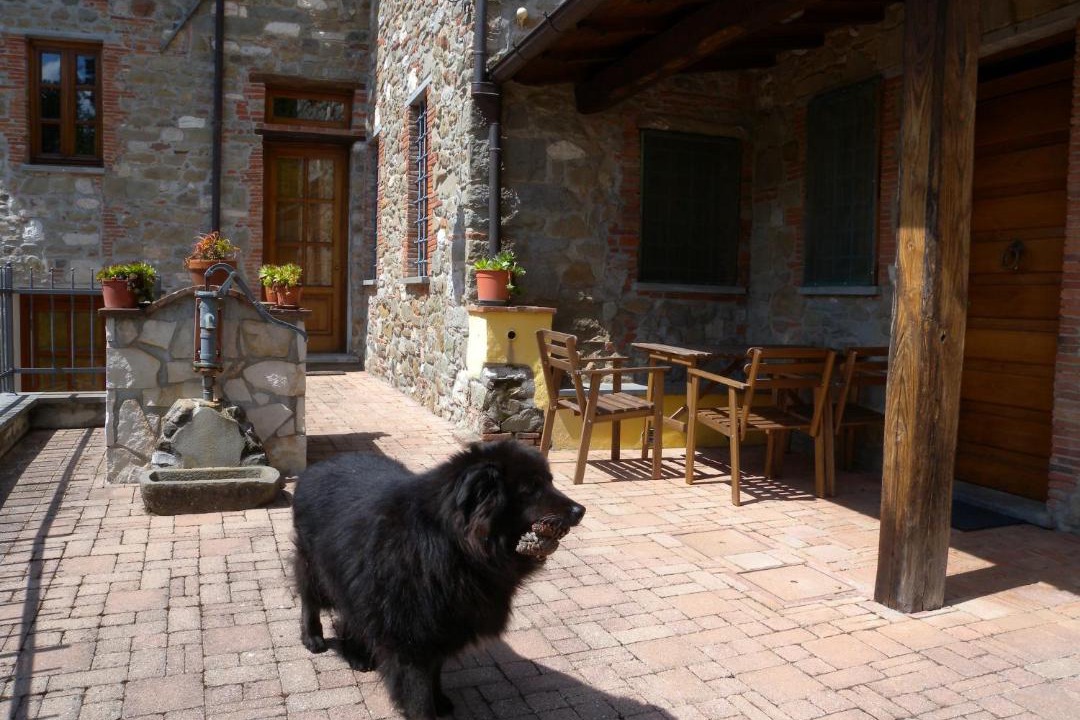 Photo of Others in Pescaglia