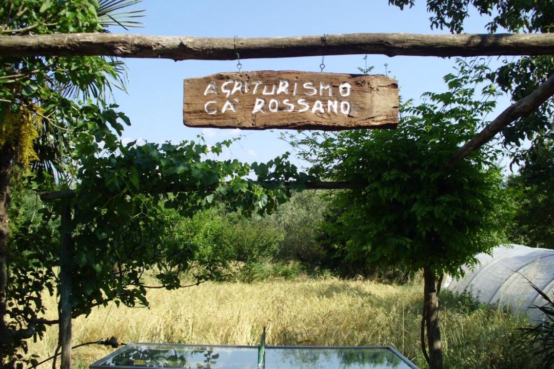 Photo of Others in Masero