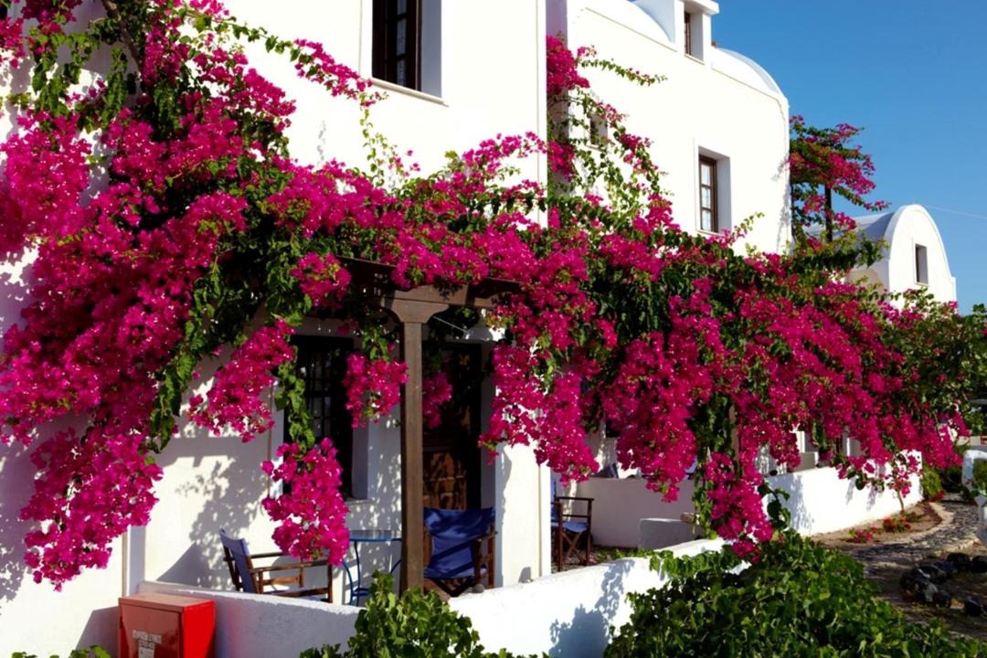 Photo of Buildings in Agia Paraskevi