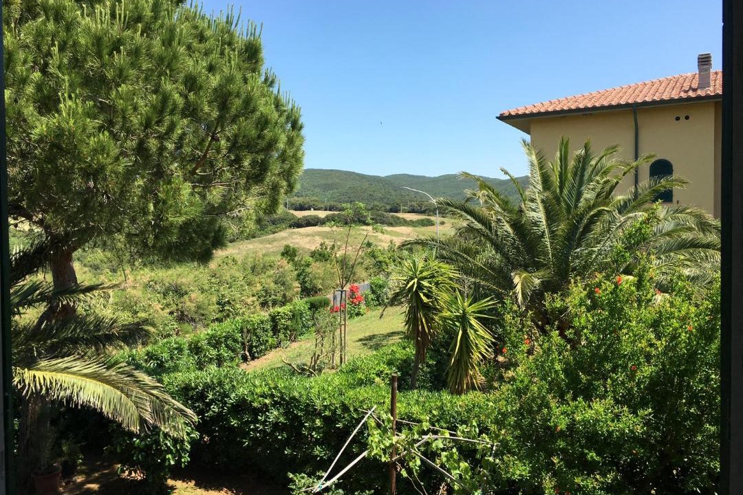 Photo of Others in Castiglioncello