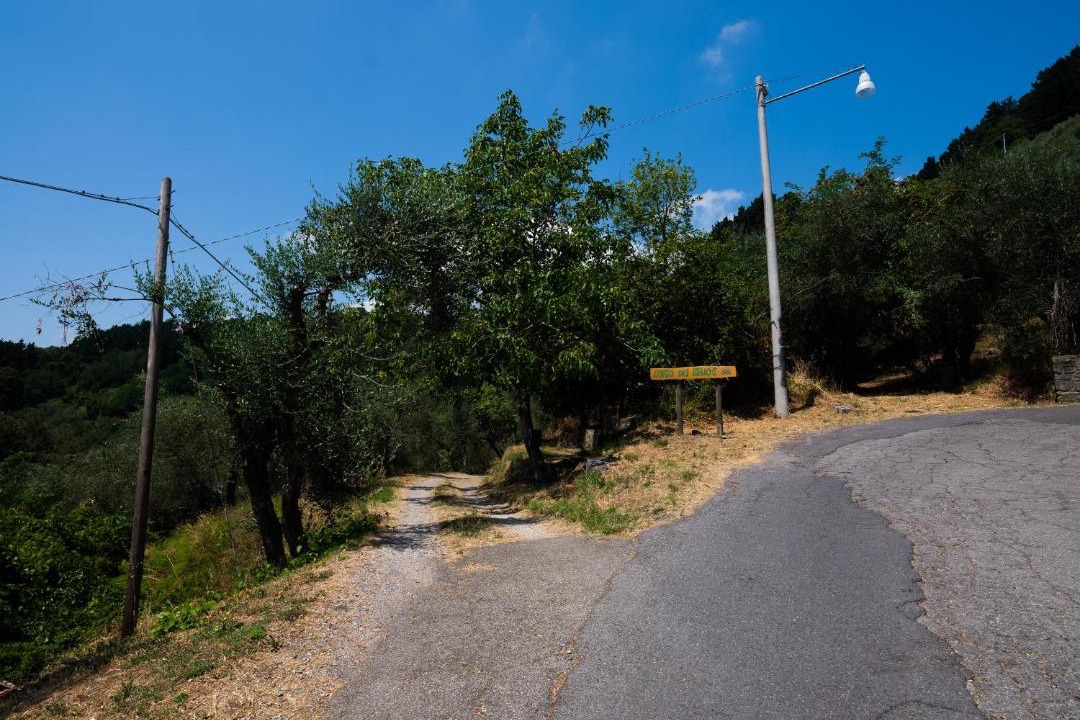 Photo of Others in Petrognano