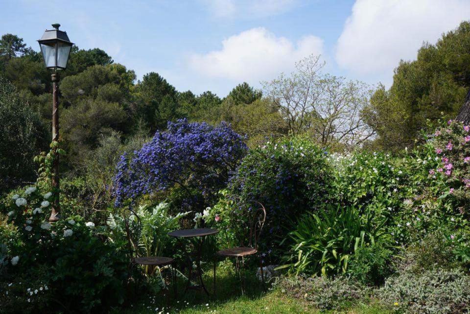 Photo of Others in Eze