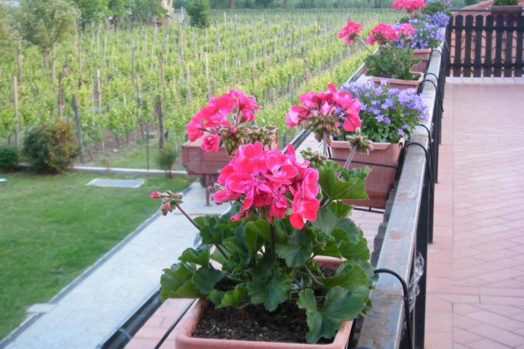 Photo of Patio Balcony in Albana