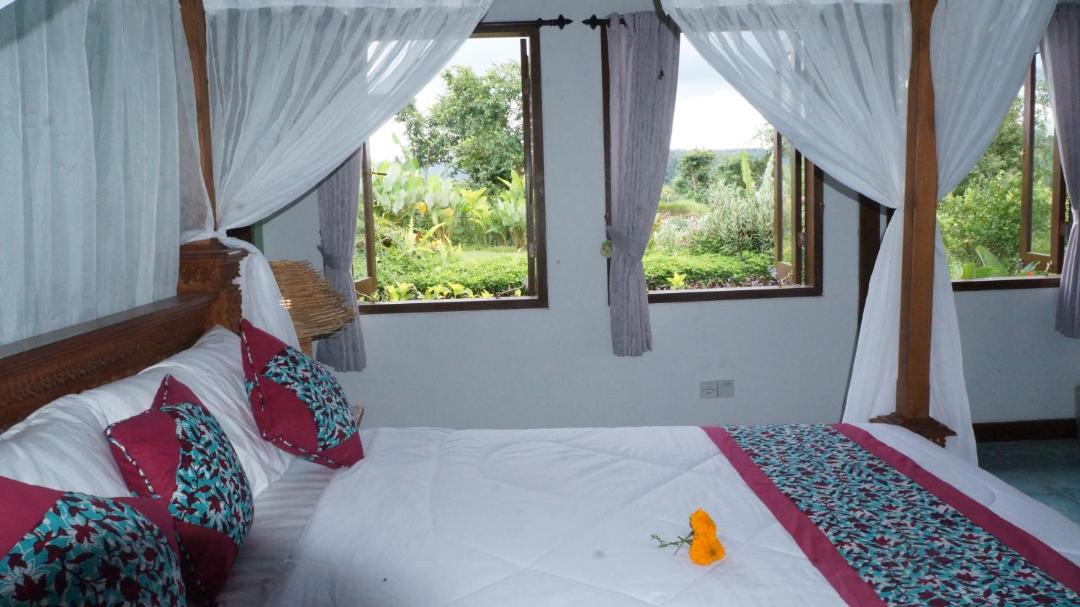 Photo of Bedroom in Pelaga