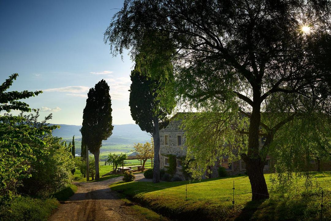 Photo of Others in La Foce
