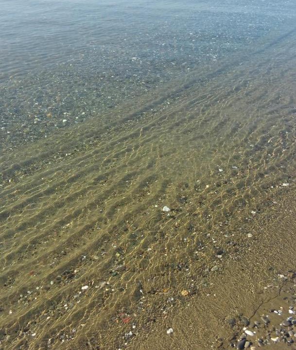 Photo of Outdoor in Marina di Massa