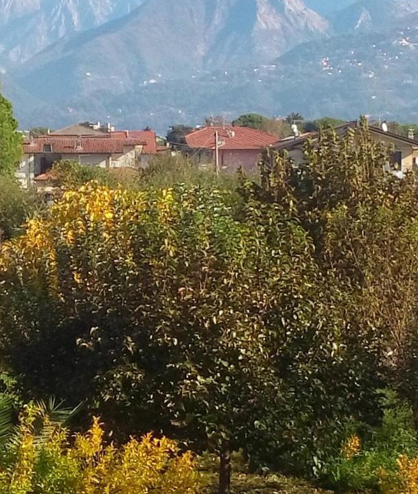 Photo of Outdoor in Marina di Massa