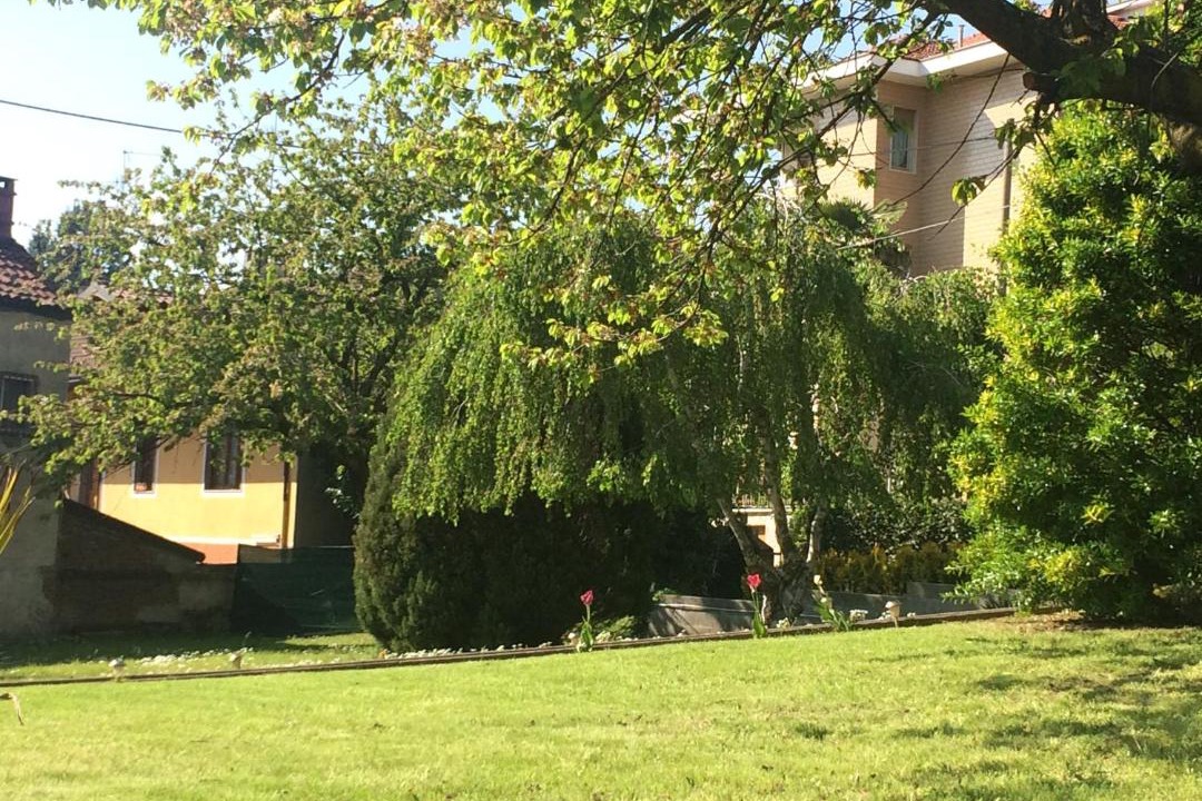 Photo of Others in Moncalieri