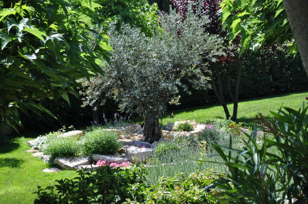 Photo of Others in Fayence