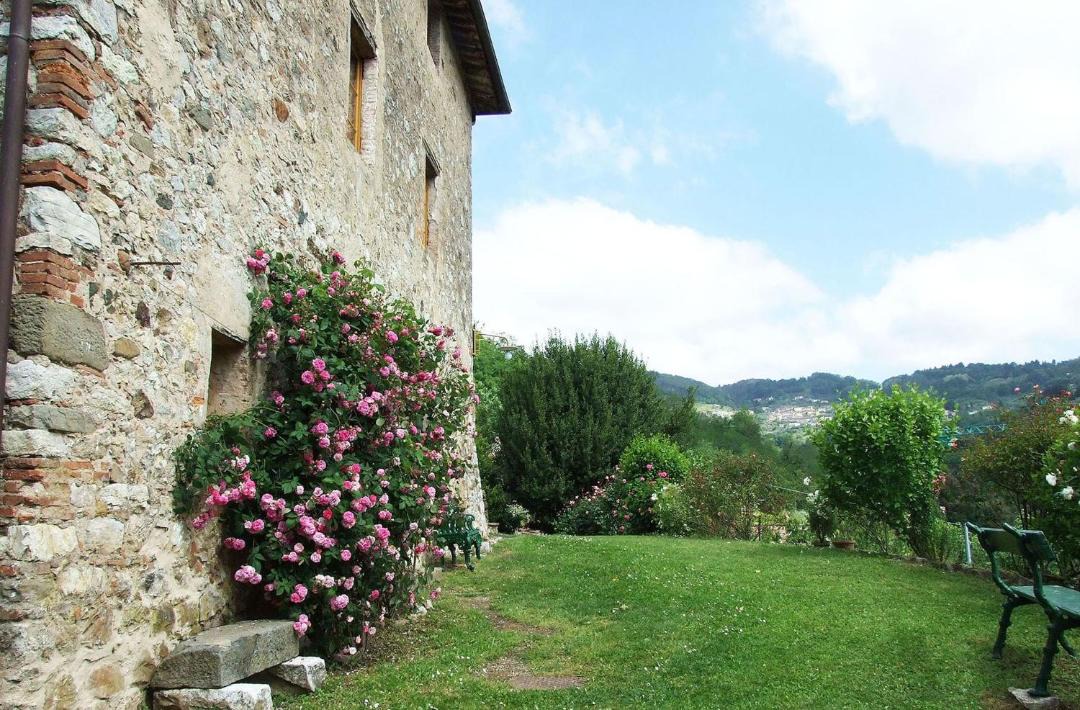 Photo of Others in Pescaglia
