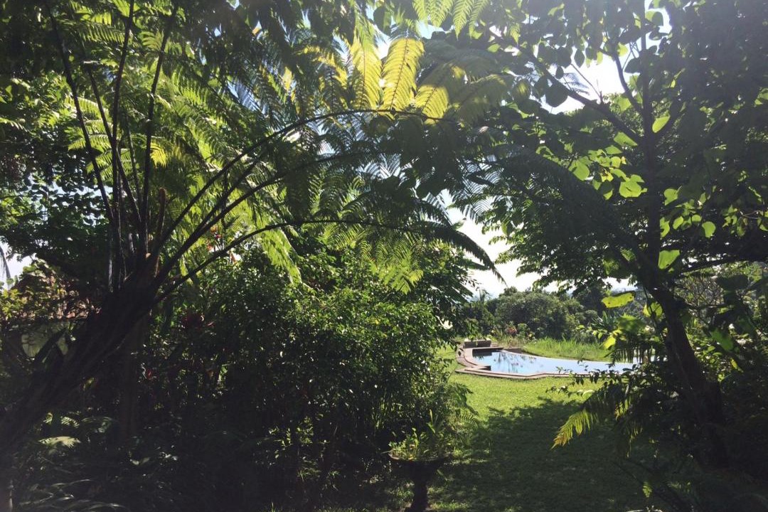 Photo of Outdoor in Sukasada