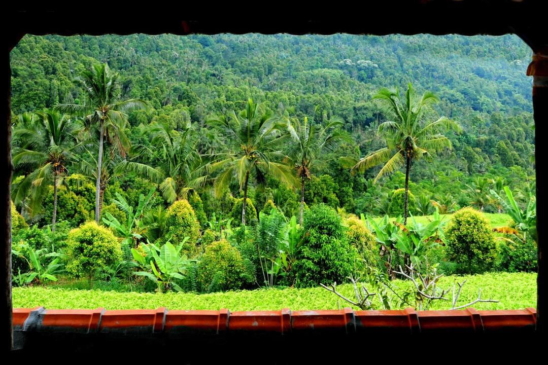 Photo of Others in Munduk