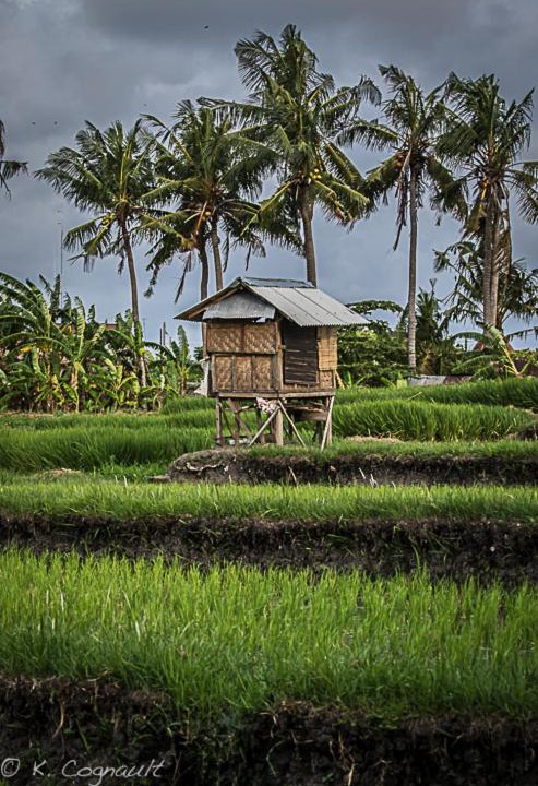 Photo of Others in Batu Bolong