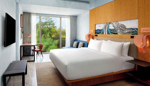 Room, 1 King Bed with Sofa bed