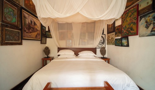 Dragonfly Room