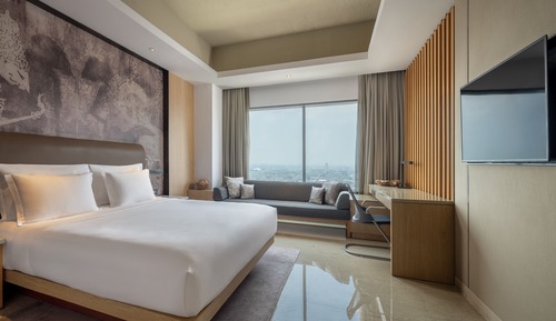 Standard Room, 1 King Bed, Mountain View