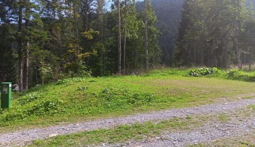 Empty Spot - Forest