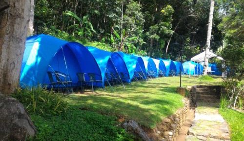 Tent