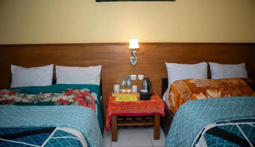 Superior Twin Room with Terrace