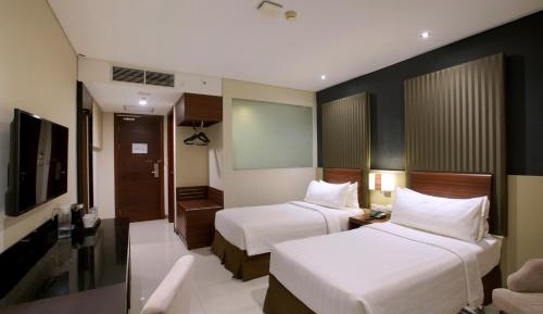 Superior Double or Twin Room