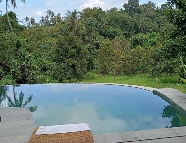 King Room with Garden View