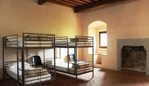 Bunk Bed in Mixed Dormitory Room