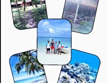 Bungalow - Beach Front
