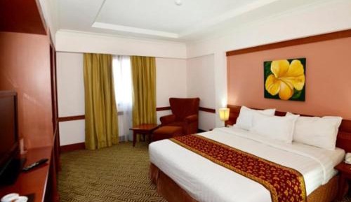 Superior Double or Twin Room with City View
