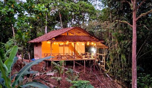 Double Room with Park View