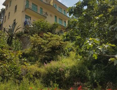 Superior Villa