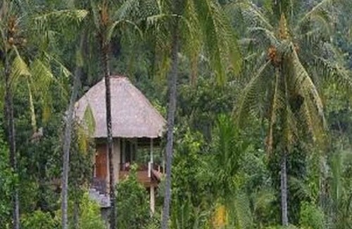 Sawan Hotel | Villa Manuk
