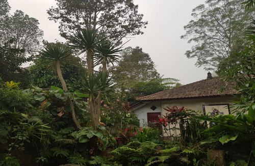 Pupuan Hotel | Mulia Garden Bungalows