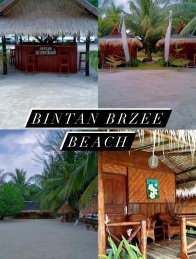 Bintan Brzee Beach in Bintan Island - Bungalow 5